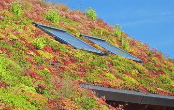 Pennytinney living roof systems